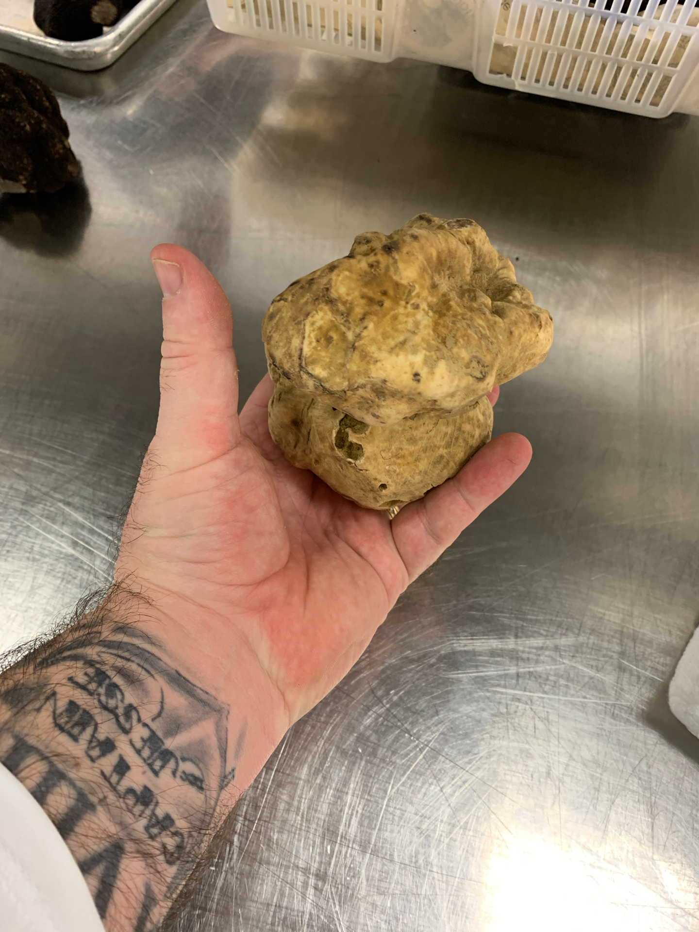 Black Truffle